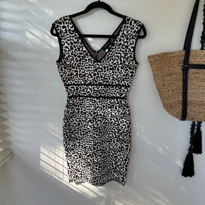 BCBG leopard print mini dress. V neck